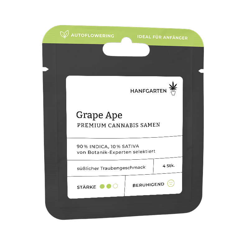 Grape Ape Automatic (Hanfgarten) – offizielles Produktbild