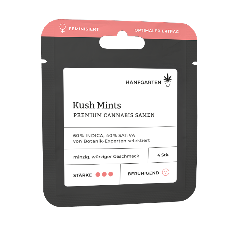 Kush Mints Feminisiert (Hanfgarten) – offizielles Produktbild