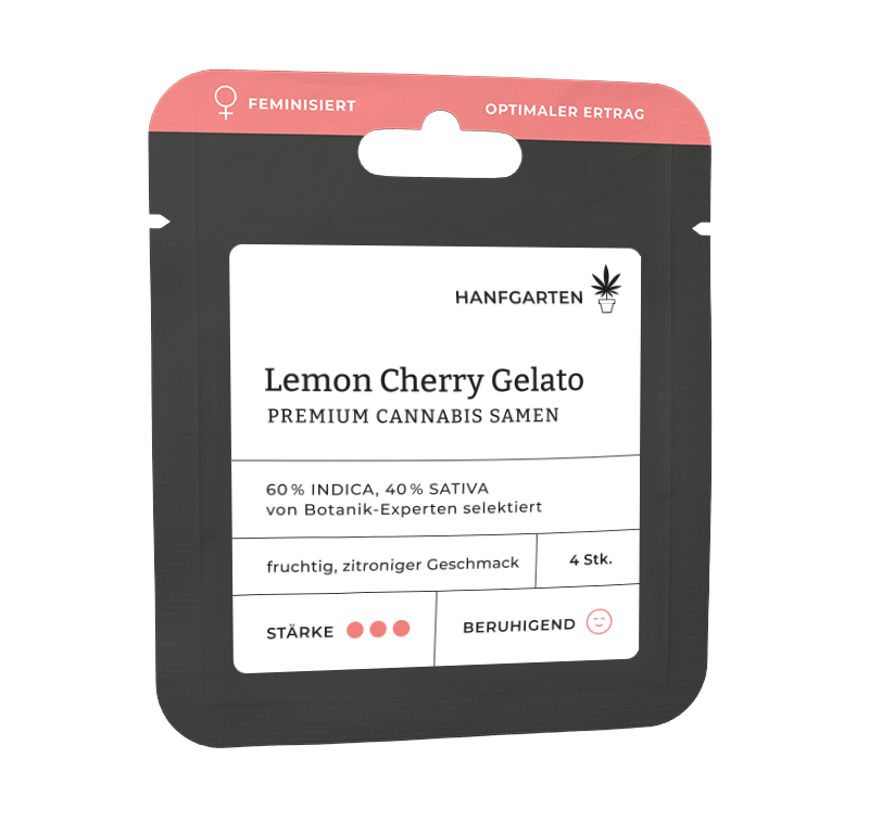 Lemon Cherry Gelato Feminisiert (Hanfgarten) – offizielles Produktbild