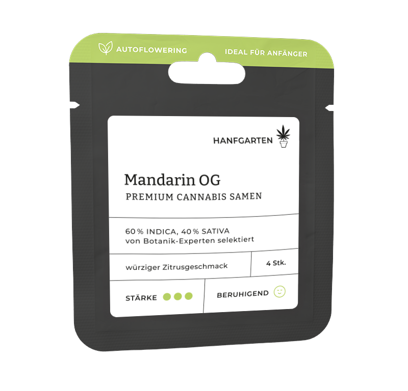 Mandarin OG Automatic (Hanfgarten) – offizielles Produktbild