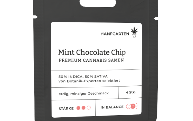 Mint Chocolate Chip Feminisiert (Hanfgarten) – offizielles Produktbild
