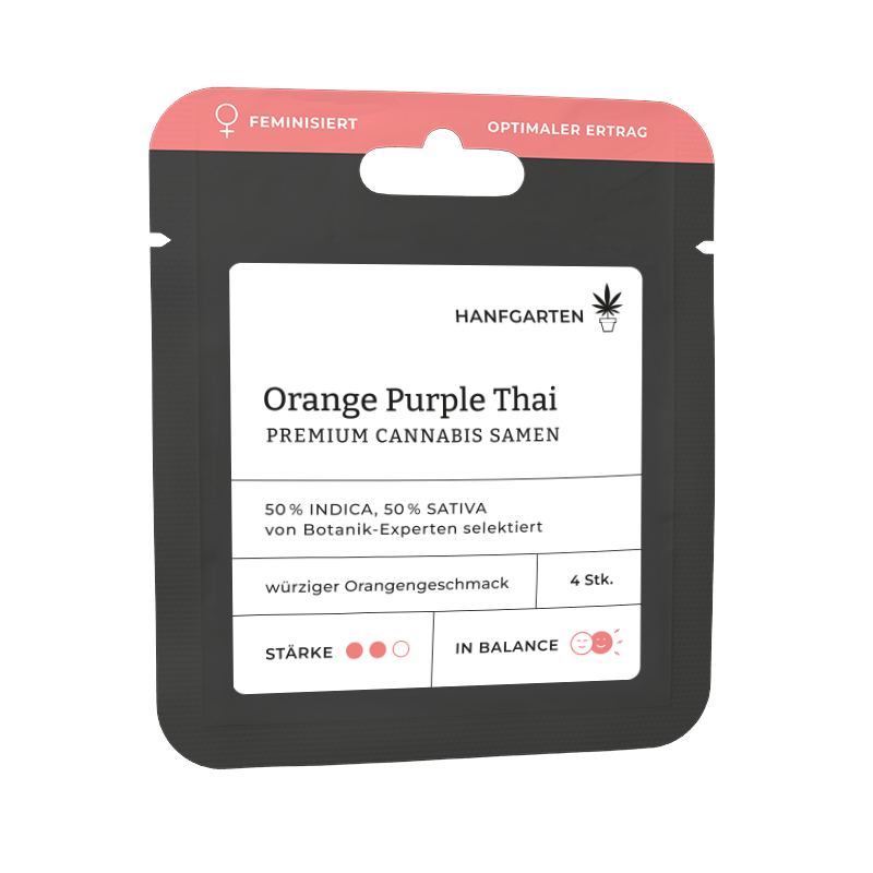 Orange Purple Thai Feminisiert (Hanfgarten) – offizielles Produktbild