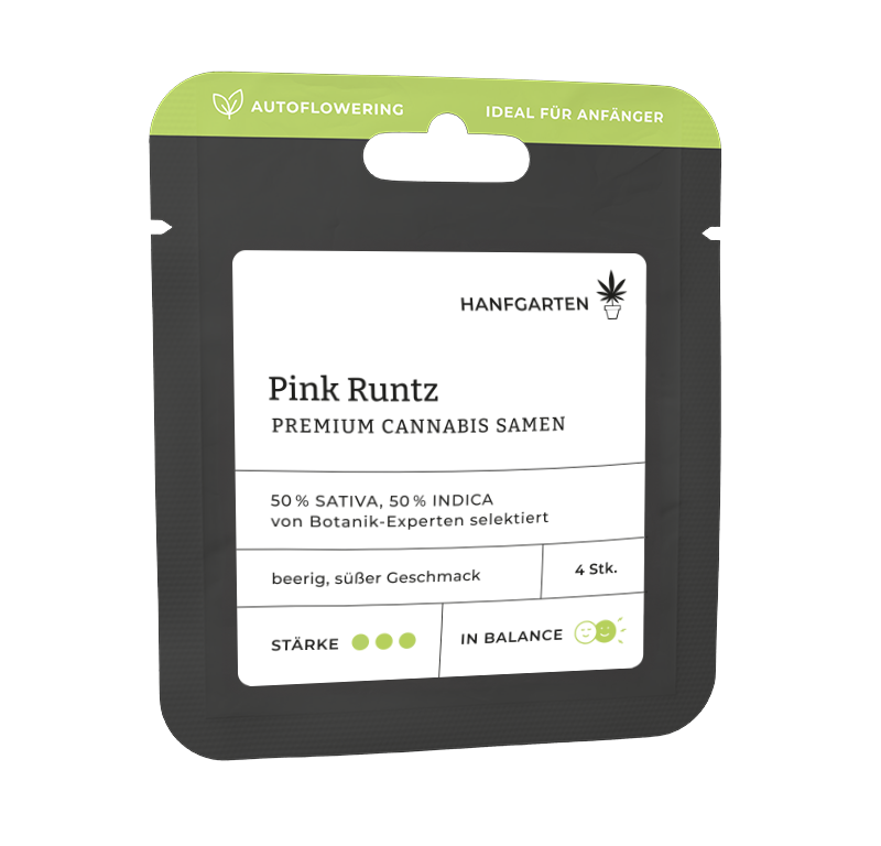 Pink Runtz Automatic (Hanfgarten) – offizielles Produktbild