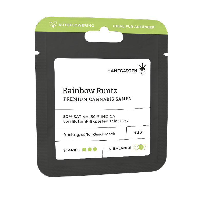 Rainbow Runtz Automatic (Hanfgarten) – offizielles Produktbild