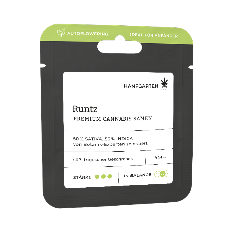 Runtz Automatic (Hanfgarten) – offizielles Produktbild