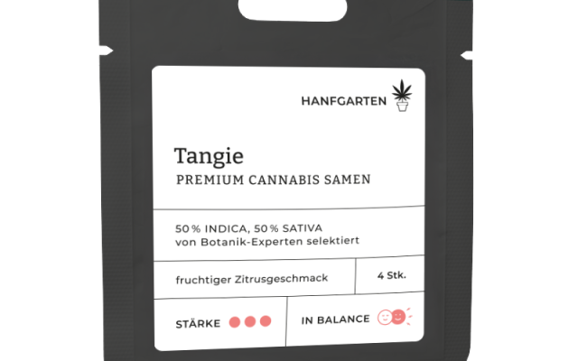 Tangie Feminisiert (Hanfgarten) – offizielles Produktbild