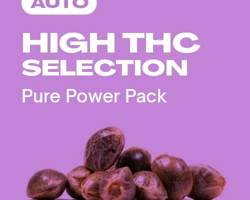 High THC Kollektion Auto (Blimburn Seeds) – offizielles Produktbild