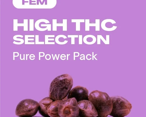 High THC Kollektion Fem (Blimburn Seeds) – offizielles Produktbild