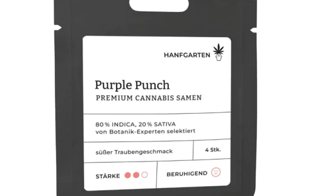 Purple Punch Feminisiert (Hanfgarten) – offizielles Produktbild