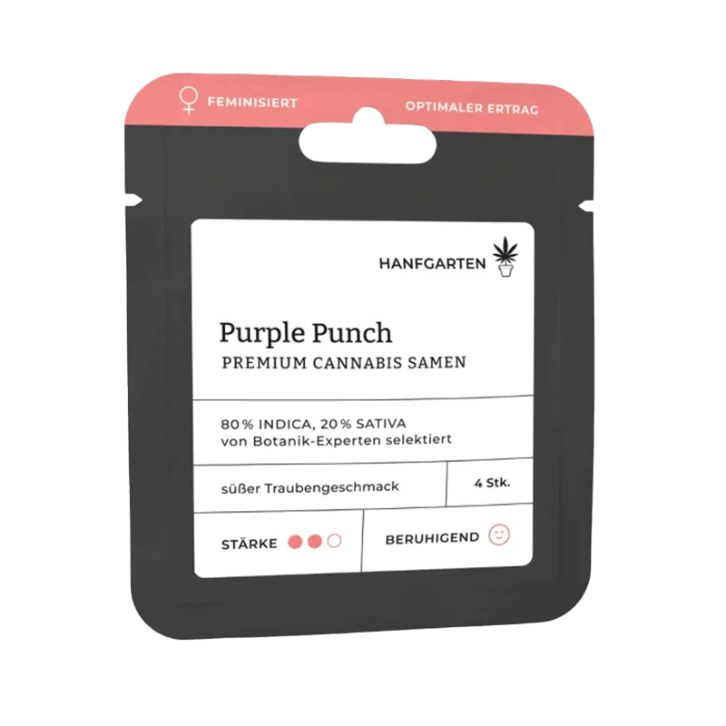 Purple Punch Feminisiert (Hanfgarten) – offizielles Produktbild