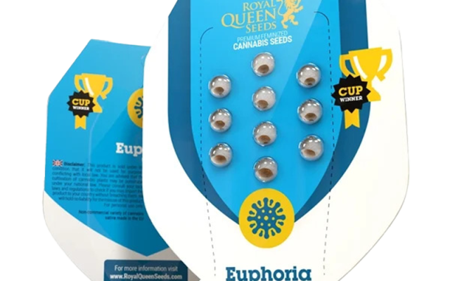 Euphoria CBD Feminisiert (Royal Queen Seeds) – offizielles Produktbild