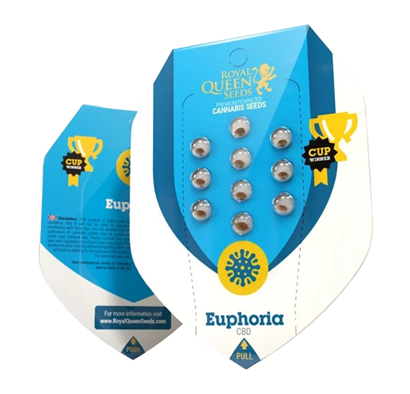 Euphoria CBD Feminisiert (Royal Queen Seeds) – offizielles Produktbild
