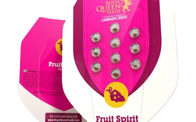 Fruit Spirit Feminisiert (Royal Queen Seeds) – offizielles Produktbild