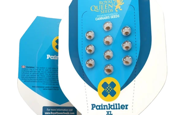 Painkiller XL CBD Feminisiert (Royal Queen Seeds) – offizielles Produktbild