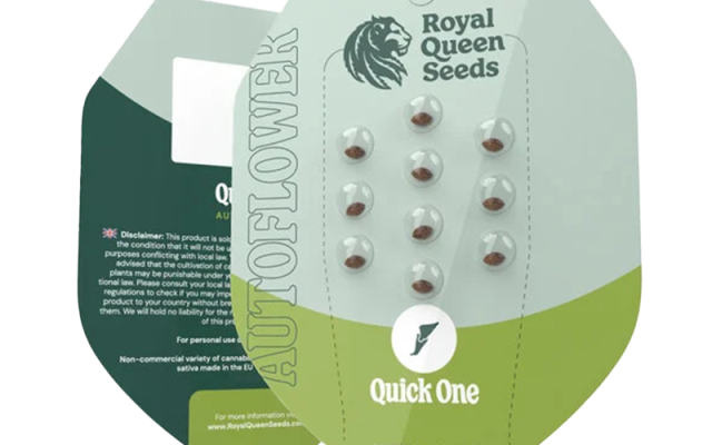 Quick One Automatic (Royal Queen Seeds) – offizielles Produktbild