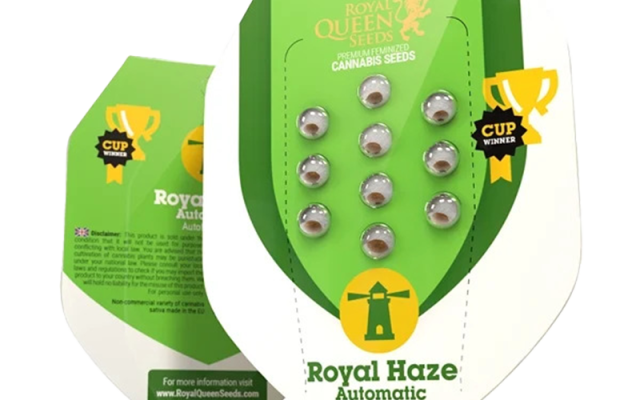Royal Haze Automatic (Royal Queen Seeds) – offizielles Produktbild