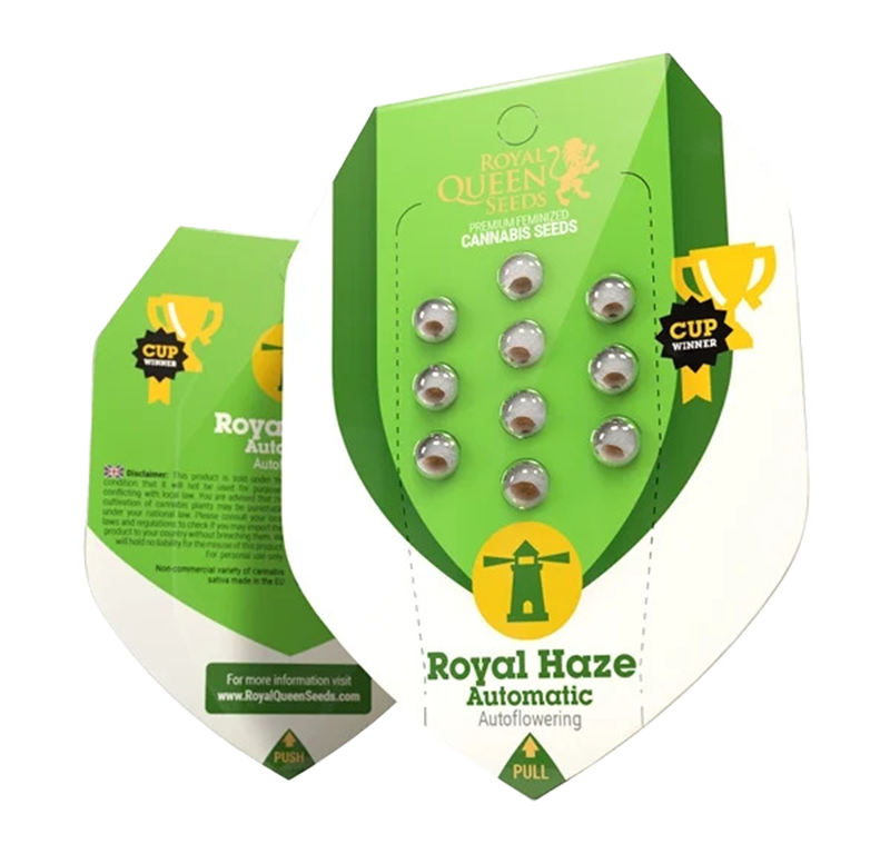 Royal Haze Automatic (Royal Queen Seeds) – offizielles Produktbild