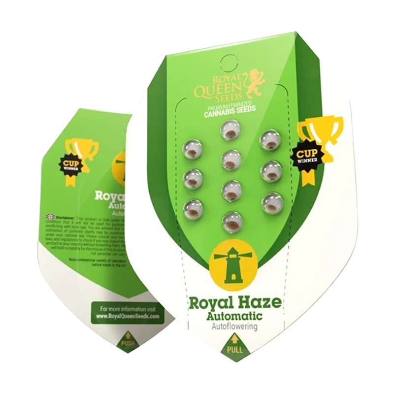 Royal Haze Automatic (Royal Queen Seeds) – offizielles Produktbild