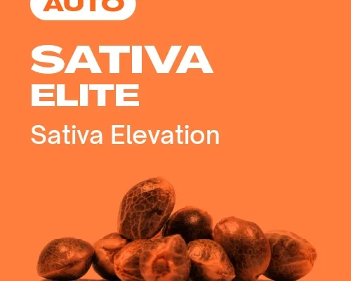 Sativa Elite Auto (Blimburn Seeds) – offizielles Produktbild