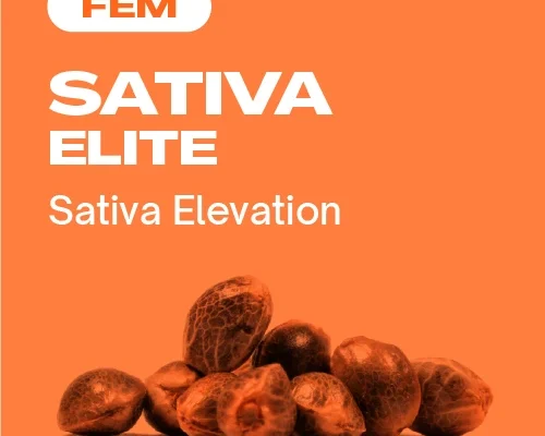 Sativa Elite Fem (Blimburn Seeds) – offizielles Produktbild