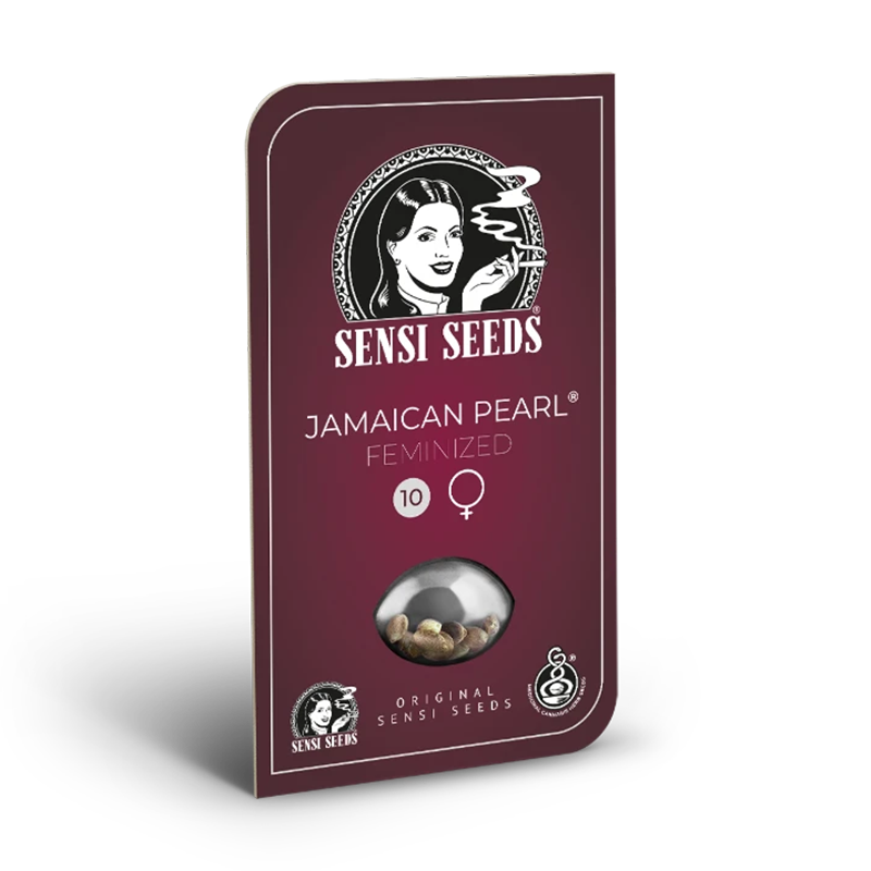 Jamaican Pearl Feminisiert (Sensi Seeds) – Produktbild des Herstellers