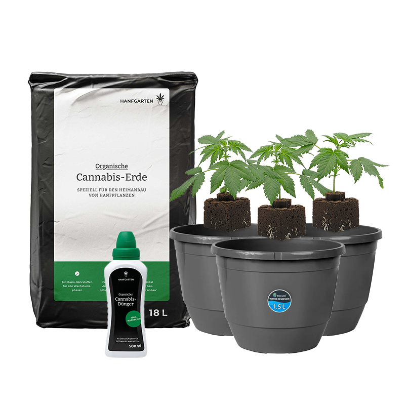 Automatic Sämlinge Rundum Sorglos Paket – Produktabbildung des Herstellers