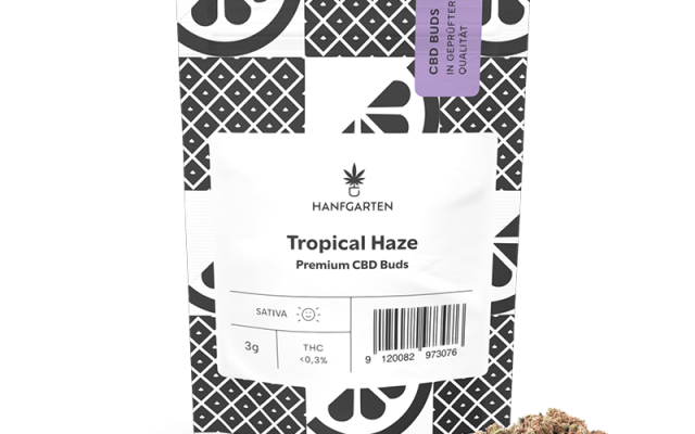Tropical Haze CBD Blüten – Produktabbildung des Herstellers