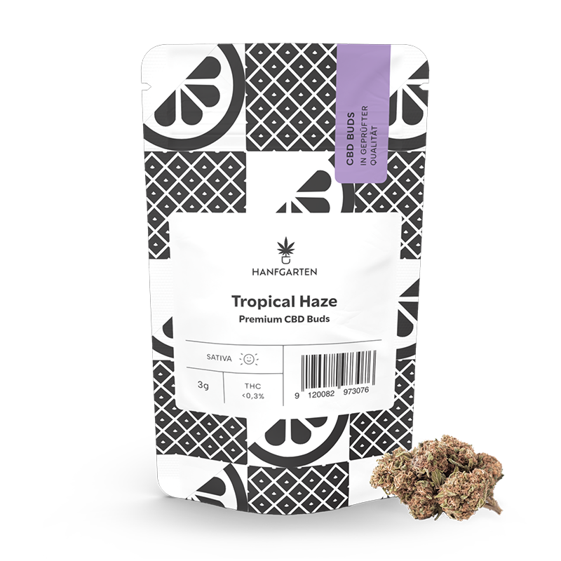 Tropical Haze CBD Blüten – Produktabbildung des Herstellers