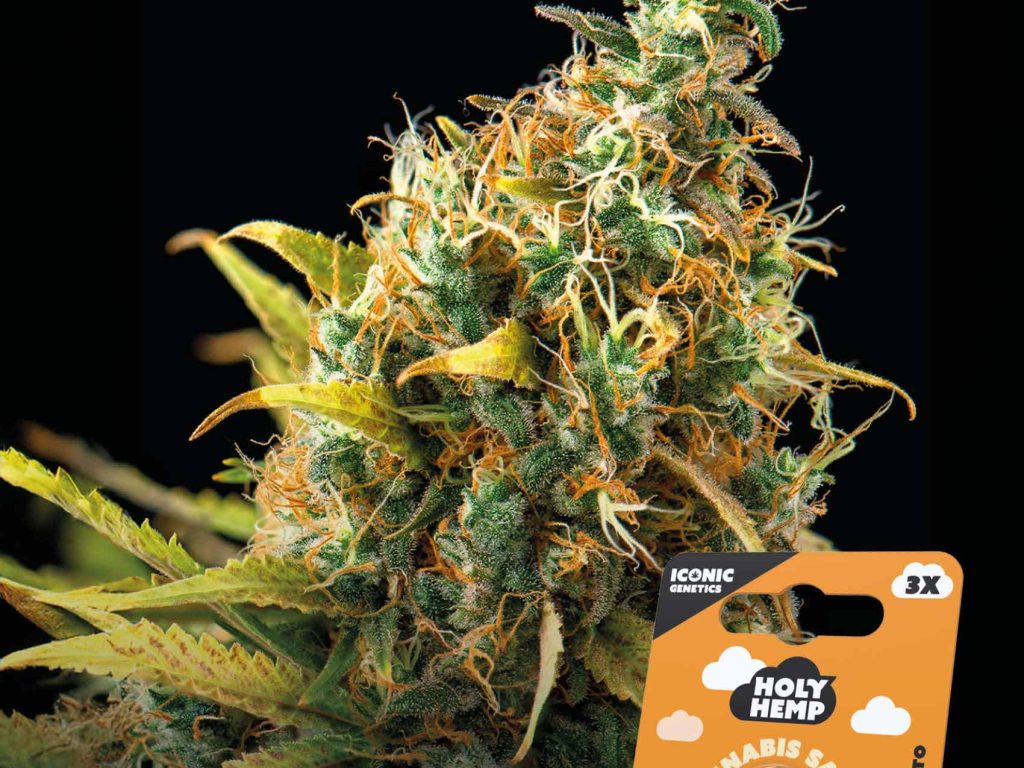 Orange Sherbet Automatic – Produktabbildung des Herstellers