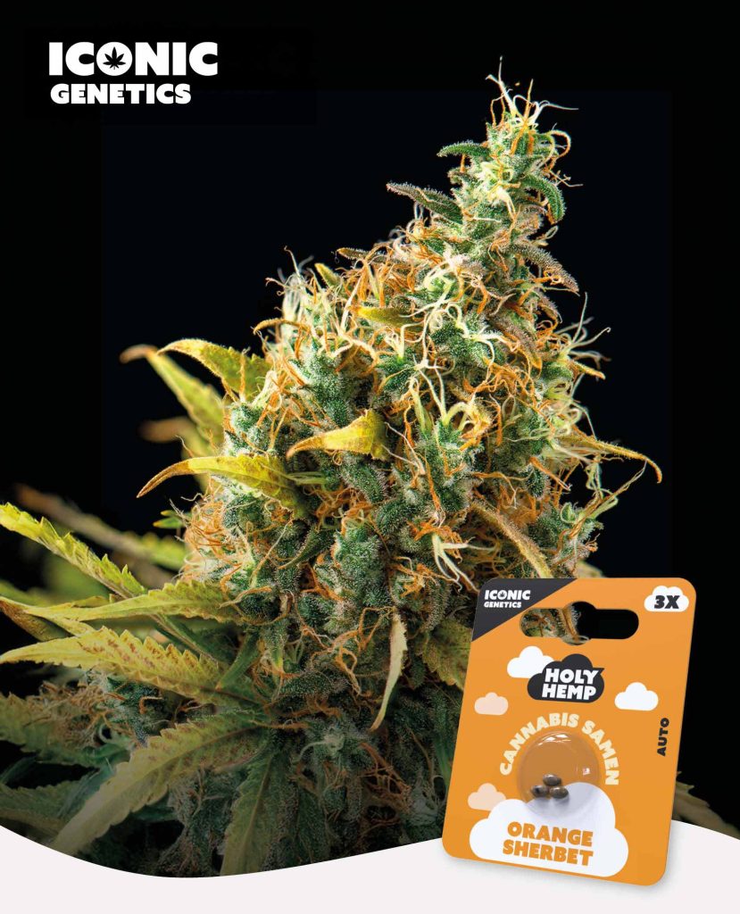 Orange Sherbet Automatic – Produktabbildung des Herstellers