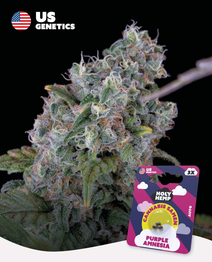 Purple Amnesia Automatic – Produktabbildung des Herstellers