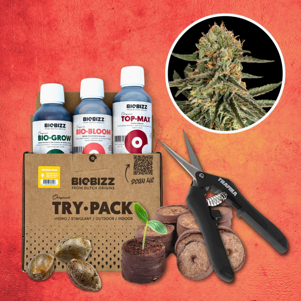 Grow Starter-Kit: THC – Produktabbildung des Herstellers