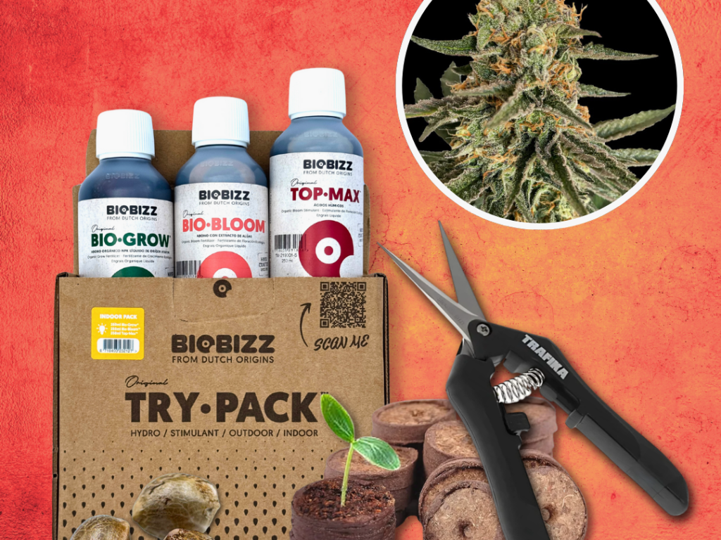 Grow Starter-Kit: THC – Produktabbildung des Herstellers
