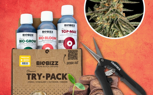 Grow Starter-Kit: THC – Produktabbildung des Herstellers