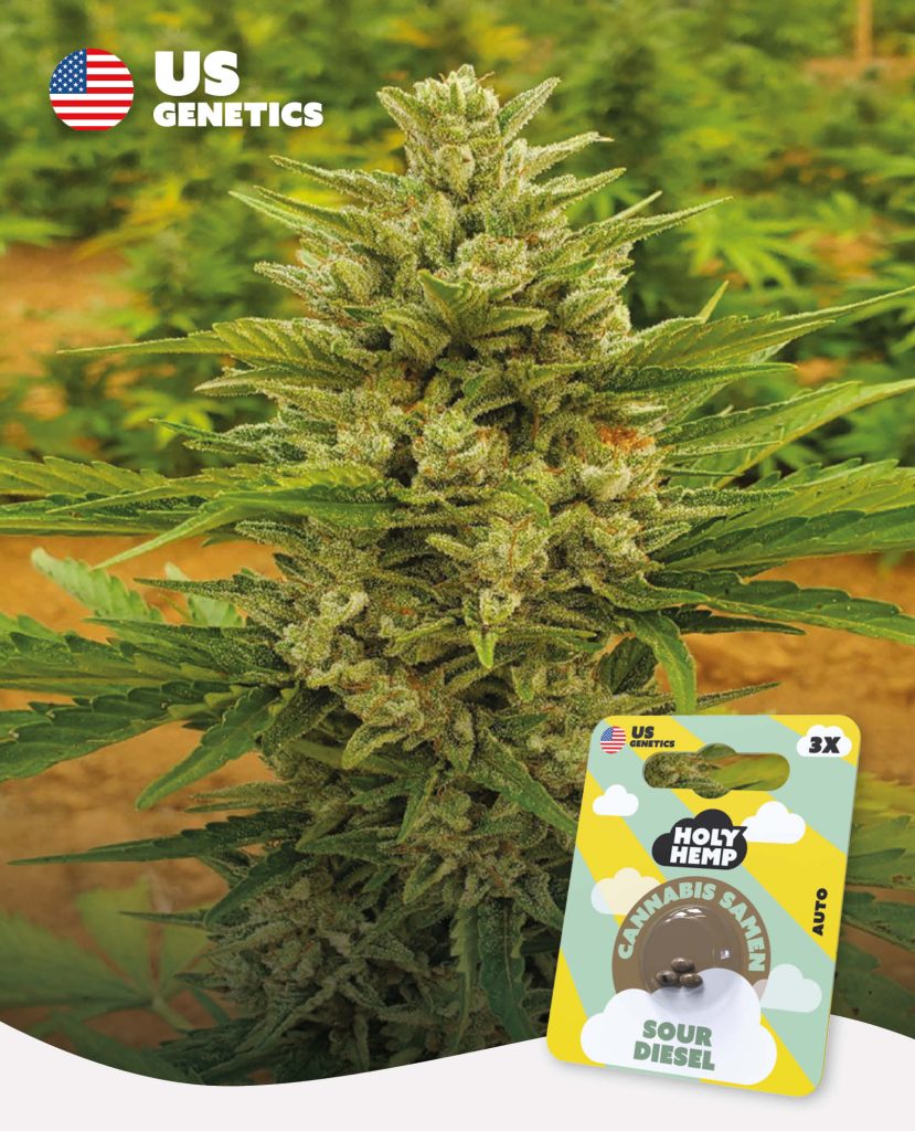 Sour Diesel Auto Automatic – Produktabbildung des Herstellers
