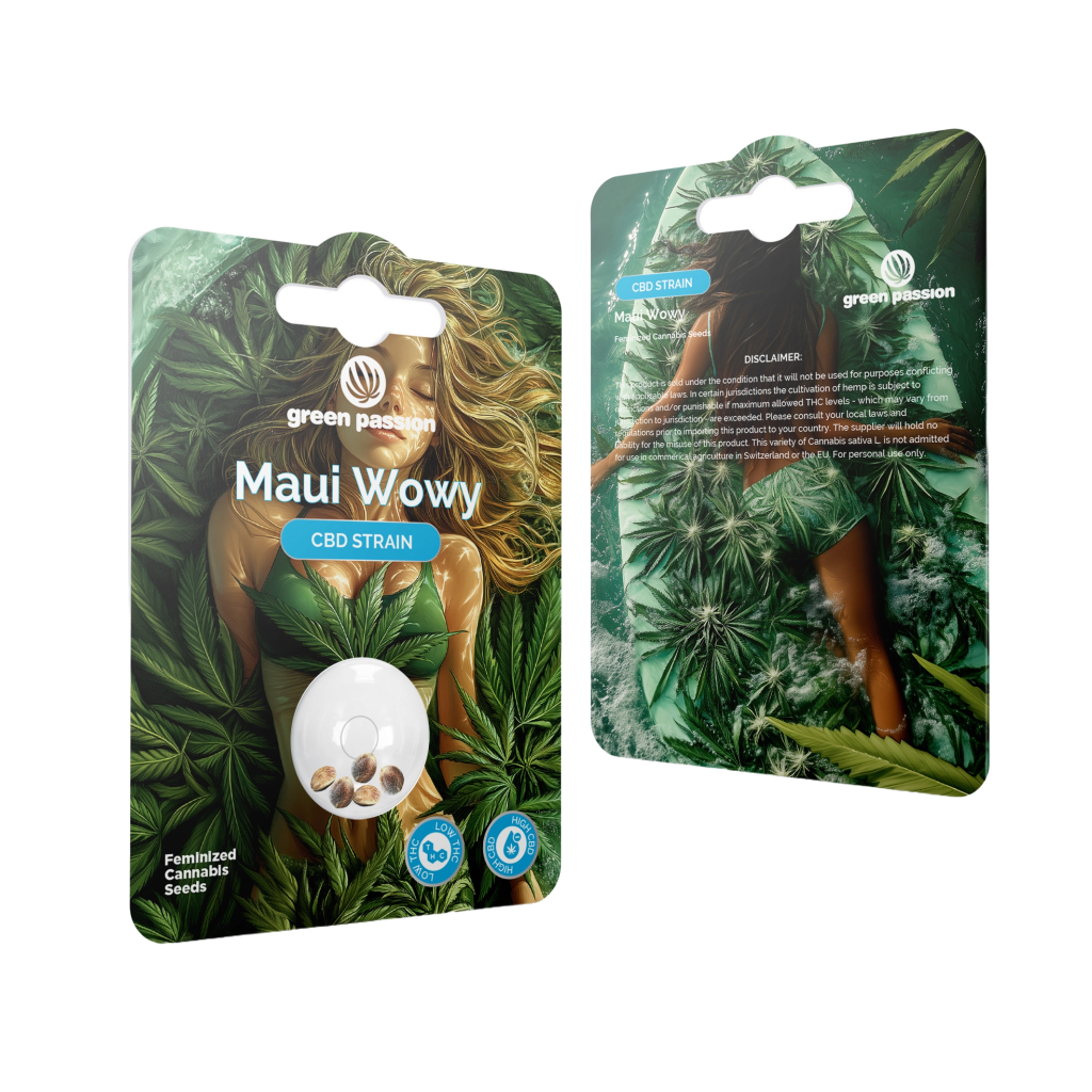 Maui Wowy - CBD Hanfsamen (feminisiert) – Produktabbildung des Herstellers