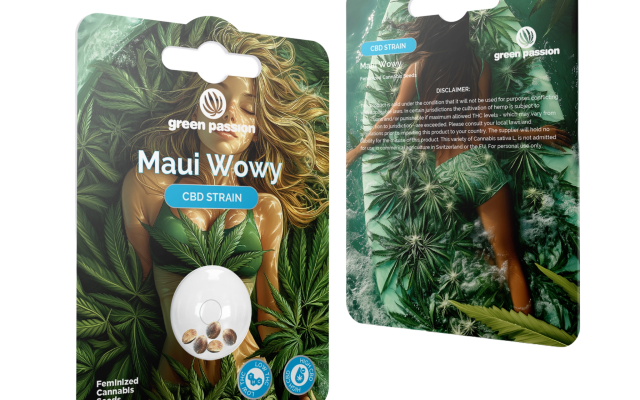 Maui Wowy - CBD Hanfsamen (feminisiert) – Produktabbildung des Herstellers