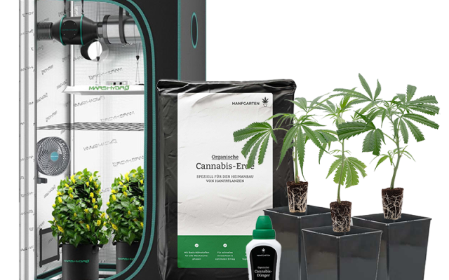Indoor-Anbau Rundum Sorglos Paket Stecklinge – Produktabbildung des Herstellers