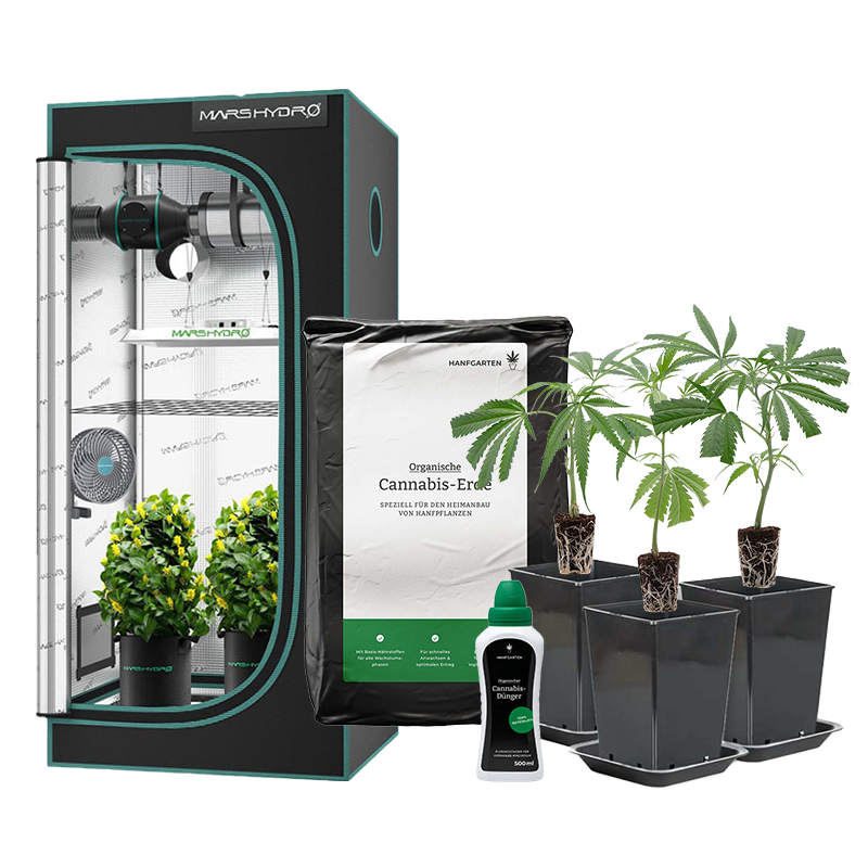 Indoor-Anbau Rundum Sorglos Paket Stecklinge – Produktabbildung des Herstellers